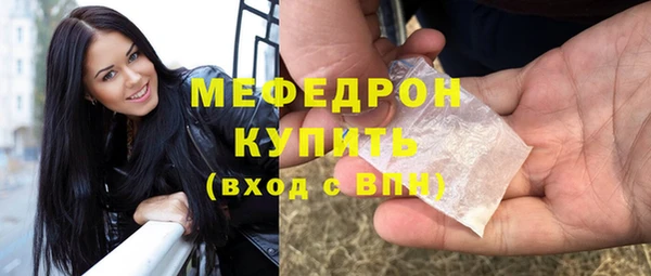 сатива Беломорск