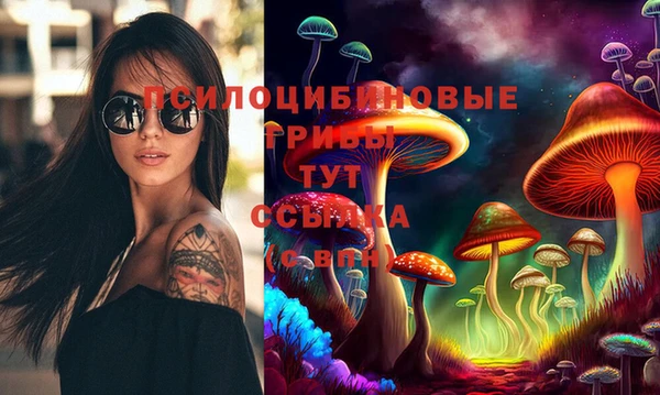 mdpv Снежинск