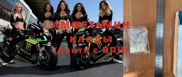 сатива Беломорск