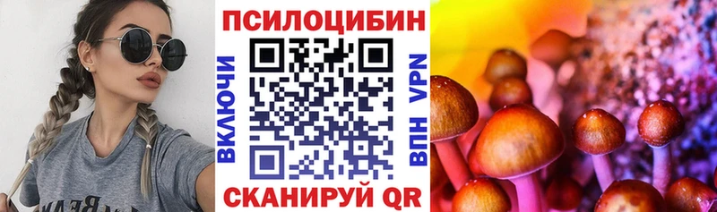Псилоцибиновые грибы GOLDEN TEACHER  Кузнецк 